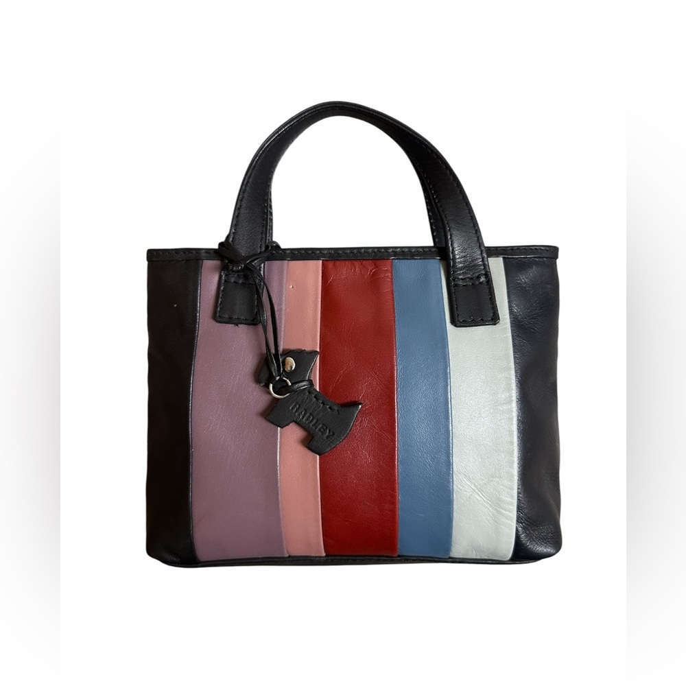 RADLEY LONDON Mini Muticolor Leather Tote Bag
